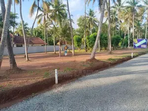 මීගමුව දoකොටුවෙන් නේවාසික බිම්කොටස්