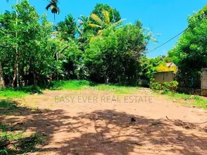 බැලුම්මහර මහජන මාවතෙන් පර්චස් 23 යි.පර්චසය
