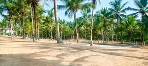 කඩවත වෑබඩ නේවාසික බිම්කොටස්