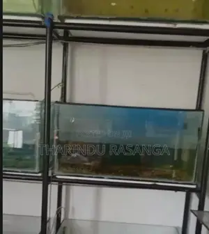 Fish Tank with stand