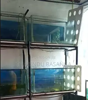 Fish Tank with stand