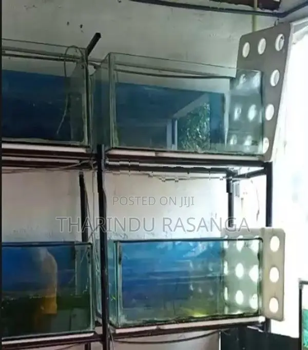Fish Tank with stand