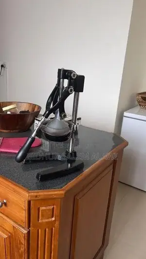 hand press juicer