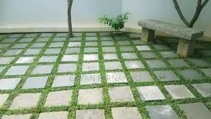 Malaysian Pidali With Carpet