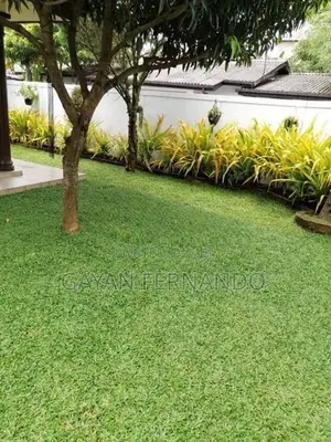 Malaysian Pidali With Carpet