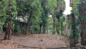 26.5 Perches Land for Sale in Piliyandala