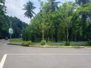 ගම්පහ කච්චේරිය අසල කොළඹපාරෙන්