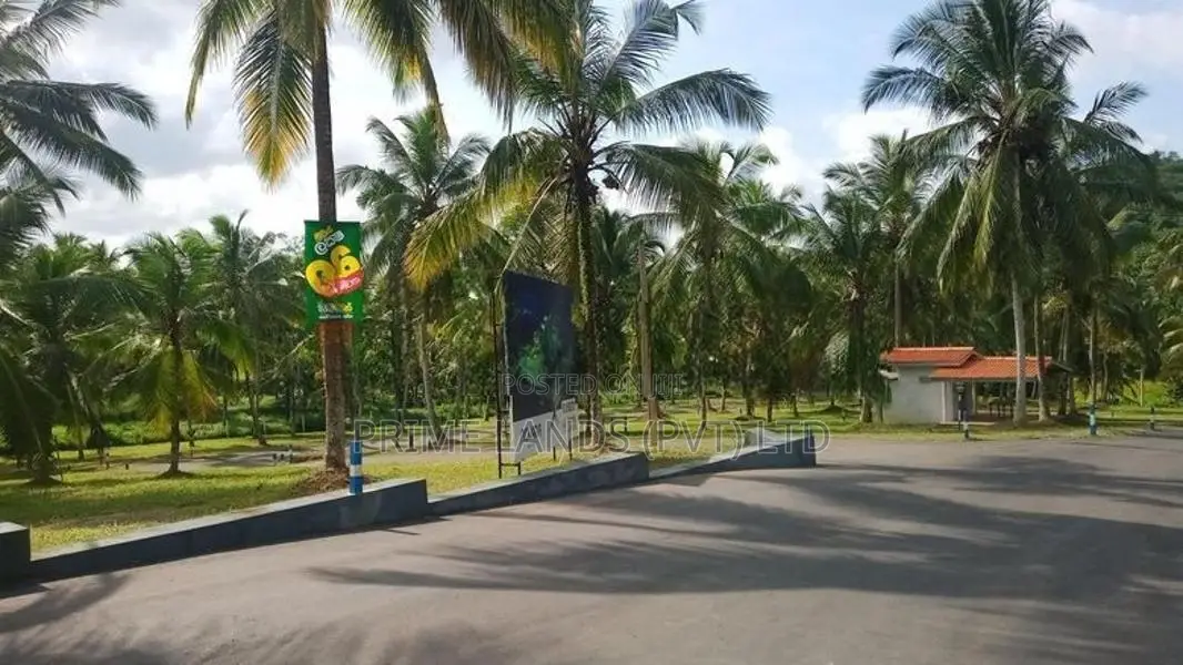 කඩවත වෑබඩ පාරෙන් බිම් කොටස්