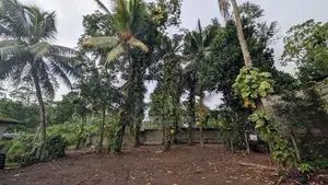 26.5 Perches Land for Sale in Piliyandala