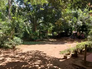 ඉමදූව අහංගම විකිණීමට ඇති නිවස පර්චස් 244 ක මනරම් ඉඩම