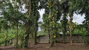 26.5 Perches Land for Sale in Piliyandala