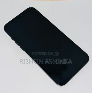 Apple iPhone 12 Pro Max (Used)