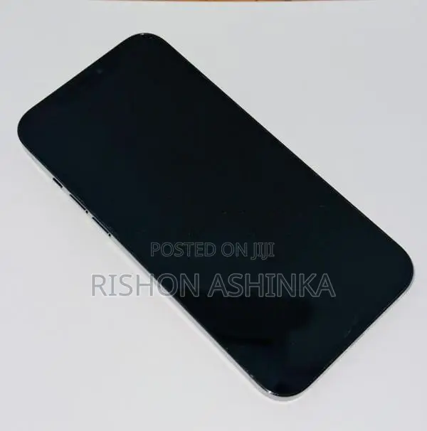 Apple iPhone 12 Pro Max (Used)