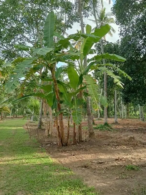 2-Acre Land with House for Sale in Godigamuwa