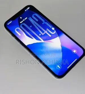 Apple iPhone 12 Pro Max (Used)