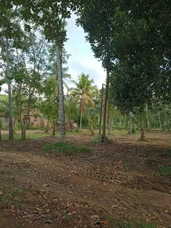 2-Acre Land with House for Sale in Godigamuwa