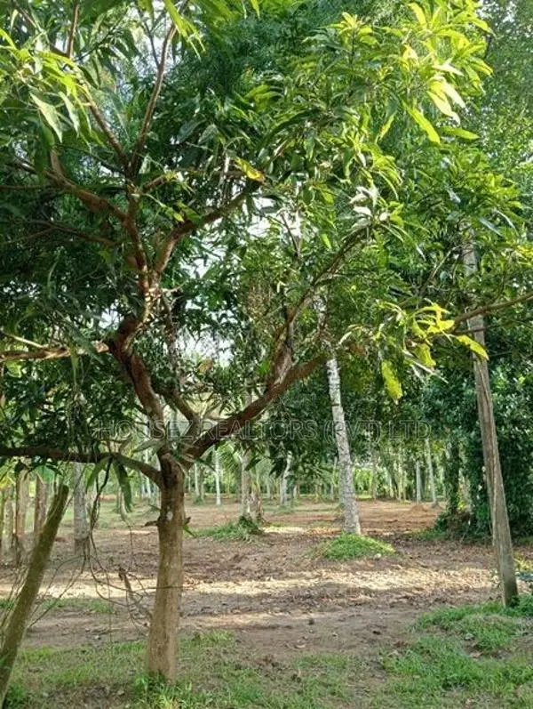 2-Acre Land with House for Sale in Godigamuwa