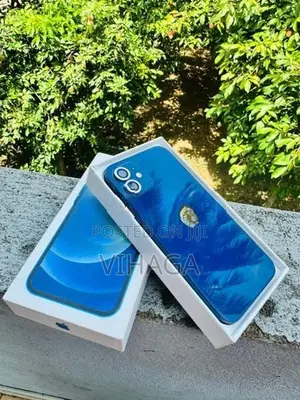 Apple iPhone 12 (Used)
