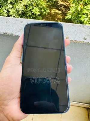 Apple iPhone 12 (Used)