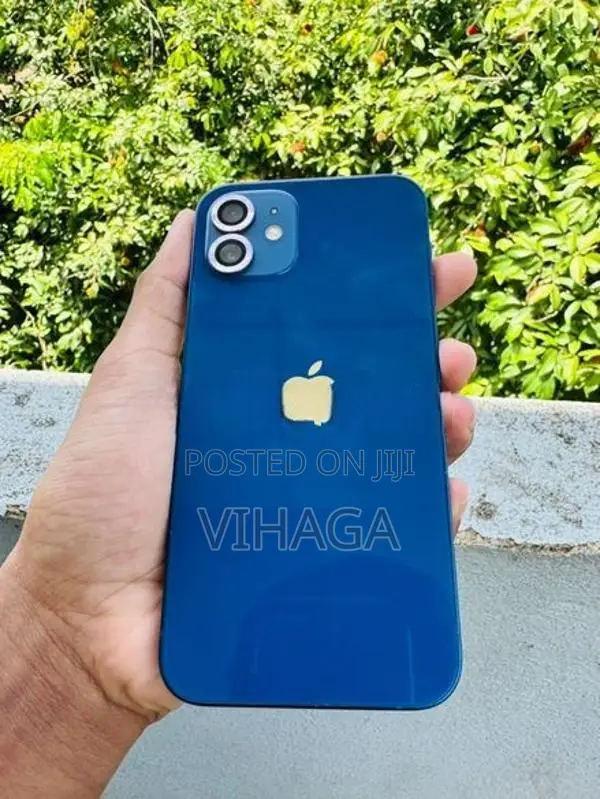 Apple iPhone 12 (Used)