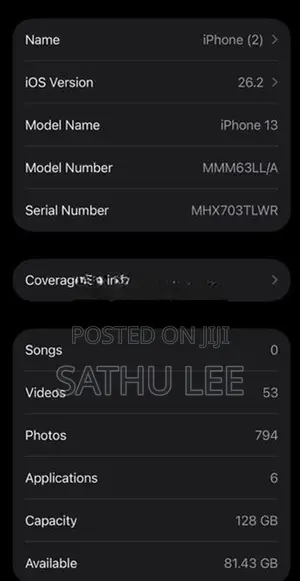 Apple iPhone 13 LL/A (Used)