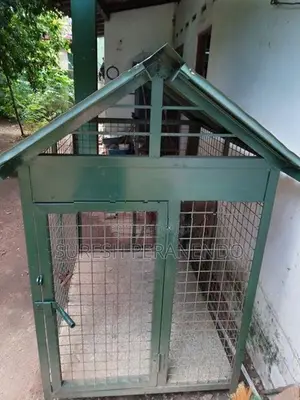 බලු කූඩව