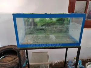 FISH TANK