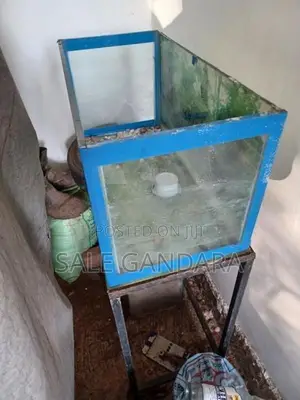 FISH TANK