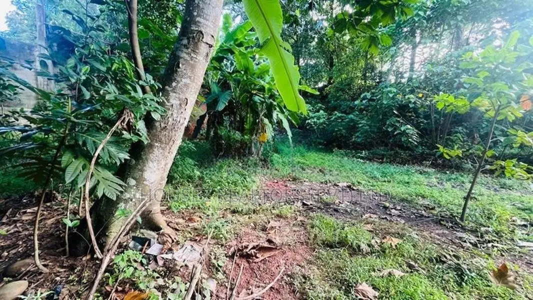 Prime 43 Perch Bare Land for Sale in Horahena, Hokandara