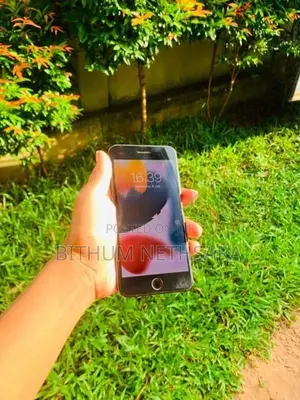 Apple iPhone 7 Plus (Used)
