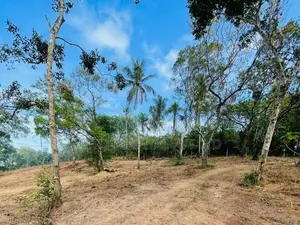 Beach Side Land - Dikwella