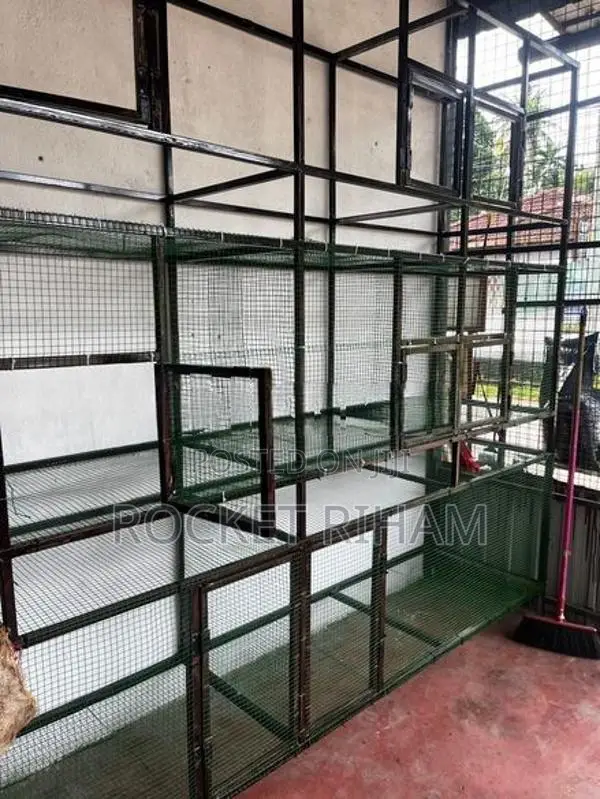 Bird Cages