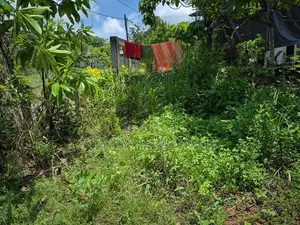 Land for Sale in Pitipana