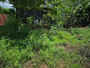 Land for Sale in Pitipana