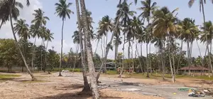 කුරුණෑගල නගරයට ළගින් ඉඩමක්