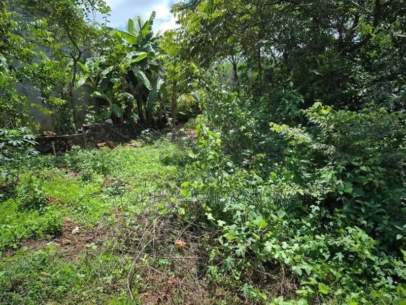 Land for Sale in Pitipana