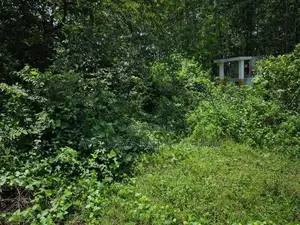 Land for Sale in Pitipana