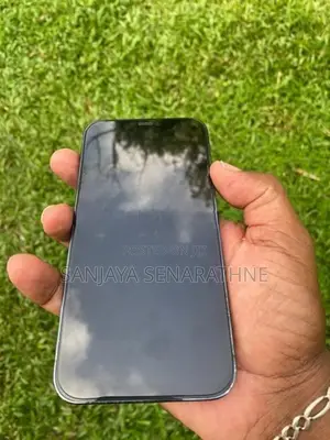 Apple iPhone 12 Pro Pacific blue (Used)