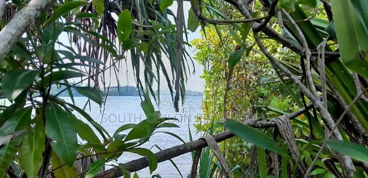 Prime 284-Perch Koggala Lakefront Land for Sale