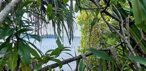 Prime 284-Perch Koggala Lakefront Land for Sale