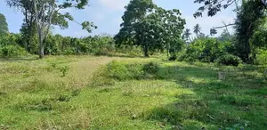 Prime 284-Perch Koggala Lakefront Land for Sale