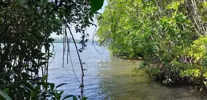 Prime 284-Perch Koggala Lakefront Land for Sale