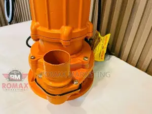 Sewage Pump (3HP) 2'' Deepsteel WQDX10-35-2.2