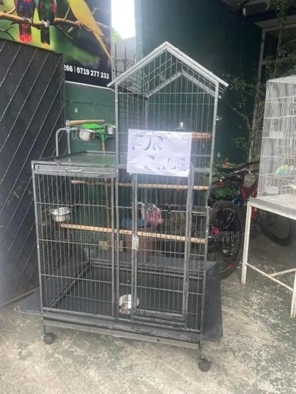 Used Imported Bird Cage