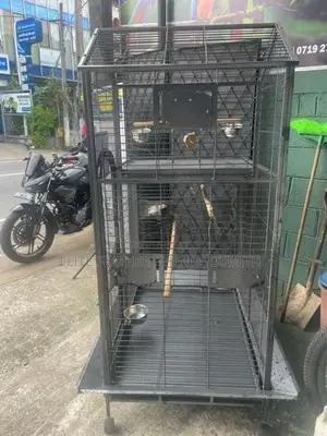 Used Imported Bird Cage