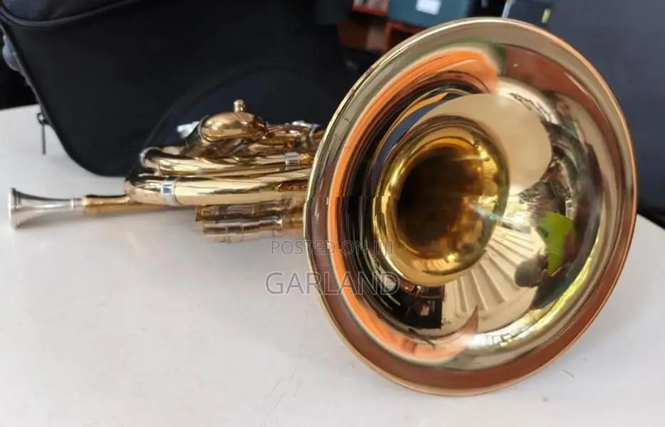 J Michael Baby French Horn-Japan