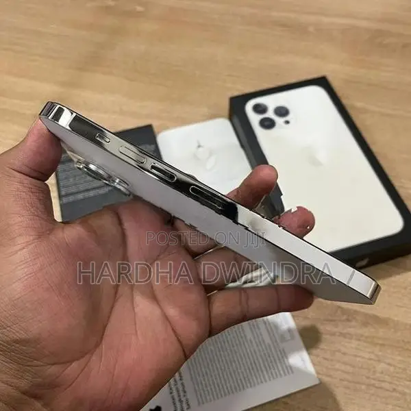 Apple iPhone 13 Pro Max (Used)