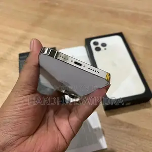 Apple iPhone 13 Pro Max (Used)