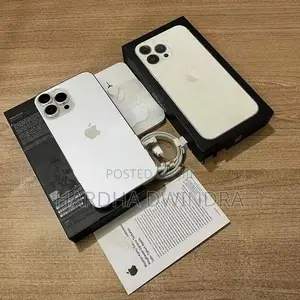 Apple iPhone 13 Pro Max (Used)