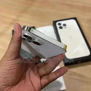 Apple iPhone 13 Pro Max (Used)